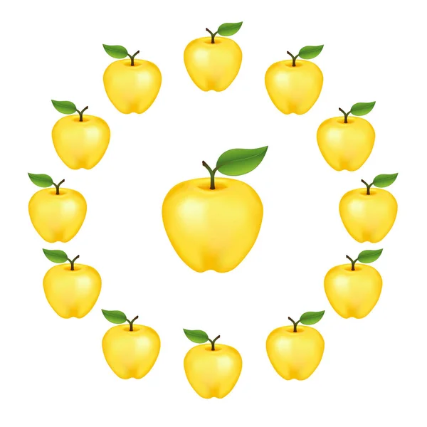 Rueda de manzana, Golden Delicious Variety — Archivo Imágenes Vectoriales