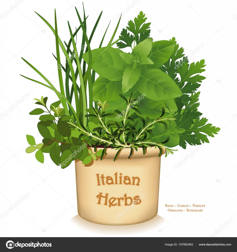 herbes italiennes cuisine herbes italiennes cuisine