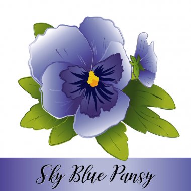 Homo çiçekler, gökyüzü mavi 