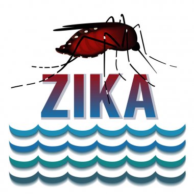 Zika virüs, kan beyaz arka plan üzerinde izole Sivrisinek, ayakta su dolu..