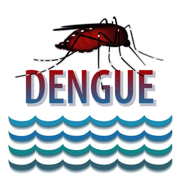 Fiebre Del Dengue Mosquito Lleno Sangre Agua Estancada Aislado Sobre — Vector de stock