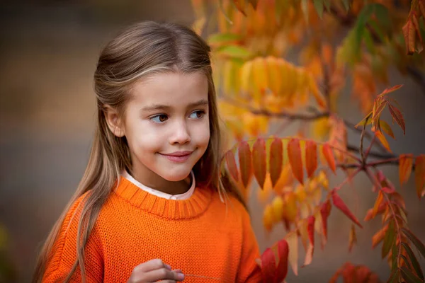 Pequena menina bonita em uma camisola laranja perto de um galho de árvore no outono . — Fotografia de Stock