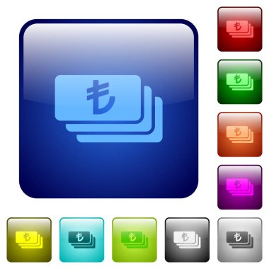 Türk Lirası banknotların kare düğmeleri renk