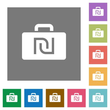 İsrail Yeni Şekeli çanta kare düz simgeler