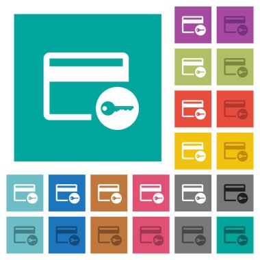 Kredi kartı erişim Meydanı düz çok renkli simgeler