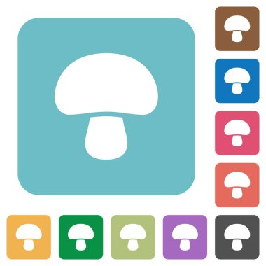 Mantar yuvarlak kare düz simgeler