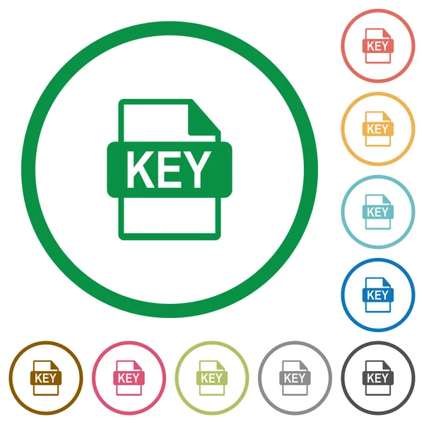 Archivo de clave privada de iconos planos de certificación SSL con contornos — Archivo Imágenes Vectoriales