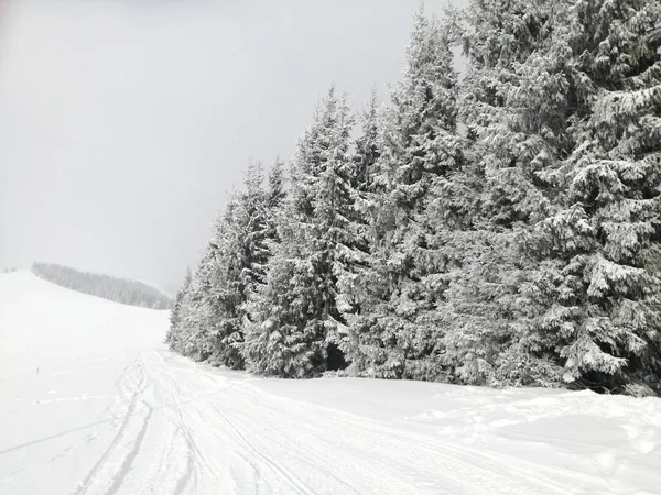 Schöne Winterlandschaft in den Bergen — Stockfoto