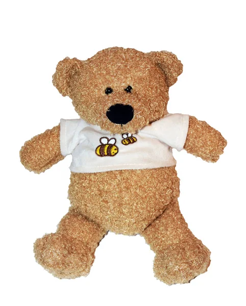 Toy teddy bear isolated on white background — Stock Photo, Image