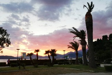 Güneş arka planda palmiye treeson ile ön planda bir parkta bir bankta yükselen