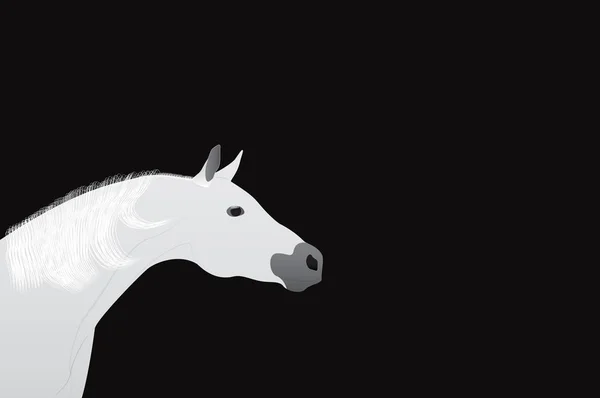 At baş vektör tasarımı siyah bir zemin üzerine — Stok Vektör
