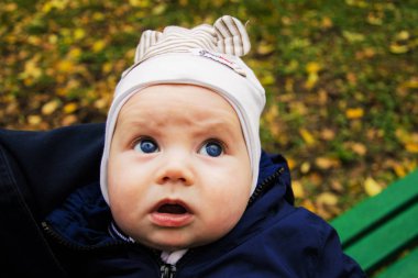 Sonbahar parkta meraklı yeni doğan küçük çocuk. Komik an