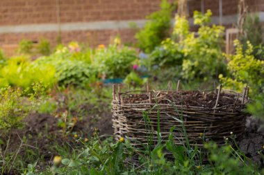 Ayçiçeği ve sürahi ile geleneksel Ukrayna wattle
