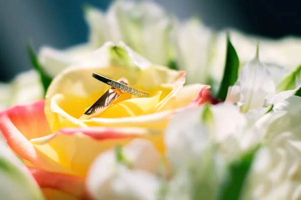 Два золотых обручальных кольца на цветы, свадебные кольца — стоковое фото