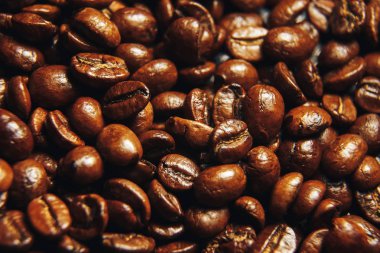 kahve çekirdekleri makro fotoğraf, kahve duvar kağıdı portre