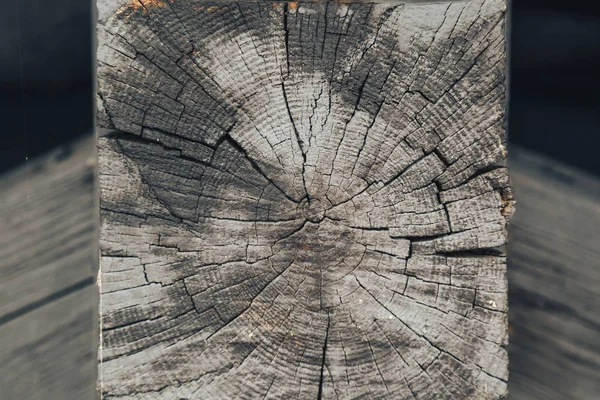 Textura de madeira de tronco de árvore velho cortado, close-up — Fotografia de Stock