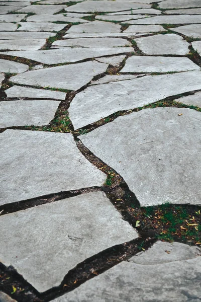Parça, arka plan, doku yağmur sonrası taş — Stok fotoğraf