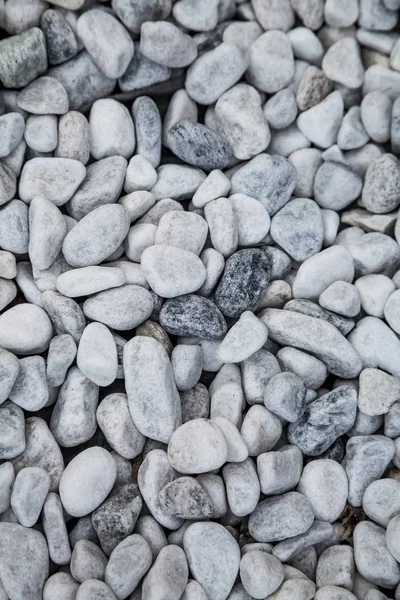 Stone texture background. White pebbles wallpaper — Stock Photo, Image