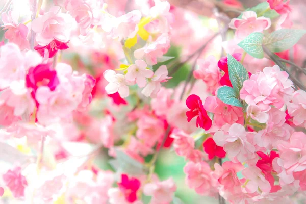 Blauwe en roze achtergrond met kersenbloesems framing van de heldere levendige hemel met zon. Lente natuur bloem achtergrond. — Stockfoto