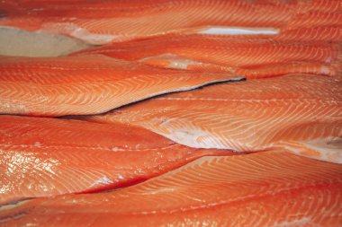 taze çiğ kırmızı balık fileto kapatın. Balık arka plan ve duvar kağıdı. Somon fileto doku