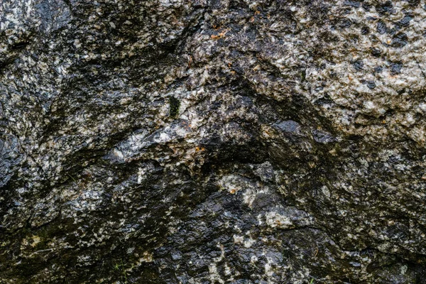 Una parete di roccia bagnata texture immagine di sfondo — Foto Stock