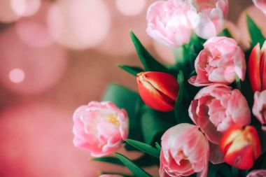 Güzel kırmızı ve Pembe Lale doğal arka plan ve yansımalar