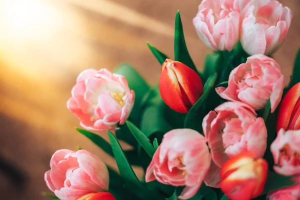 Красивые красные и розовые тюльпаны естественный фон и отражения — стоковое фото
