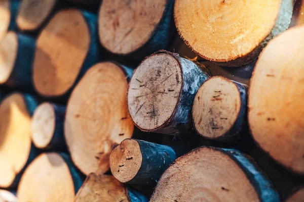 Drewniane Naturalne Cięte Kłody Teksturowane Tło Widok Góry Płaski Leżak — Zdjęcie stockowe