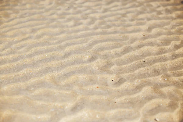 Figure sous la forme de lignes courbes dans le sable sur la plage, faire des vagues — Photo