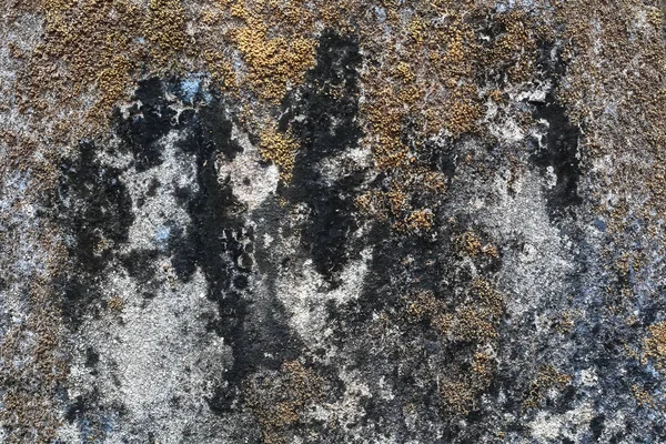 텍스처의 오래 된 배경에 대 한 더러운 콘크리트 벽 — 스톡 사진