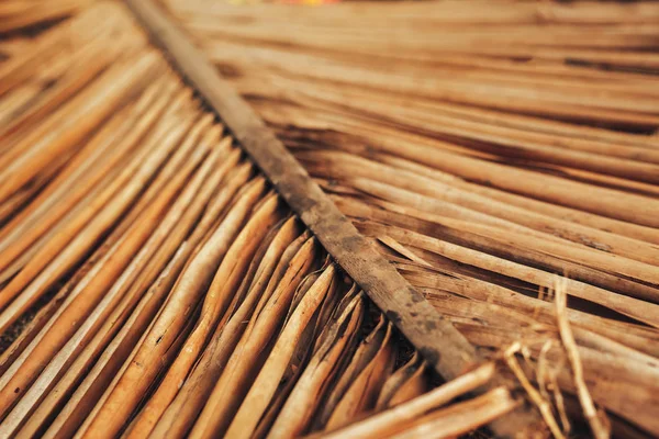 Hoja de palma seca para fondo . — Foto de Stock