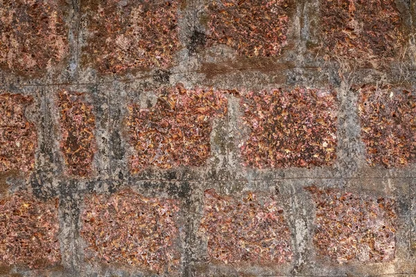 Muro de ladrillo rojo vintage con superficie rugosa y mancha oscura tomada de un casco antiguo de la India Goa. El patrón y la textura de ladrillo le dan un aspecto de fondo industrial . — Foto de Stock