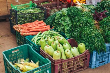 Taze organik tarımsal ürün Çiftçi Market