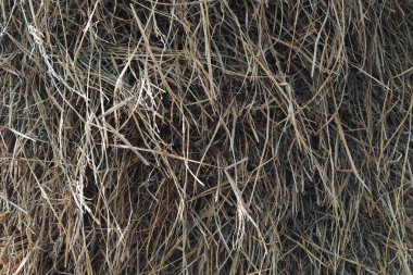 Samanlık saman arka plan olarak bir balya saman Tarım Çiftlik ve tarım hasat zamanı sembolü olarak kurutulmuş ot saman gibi bir bohça ile açık bir görünümü bağlı.