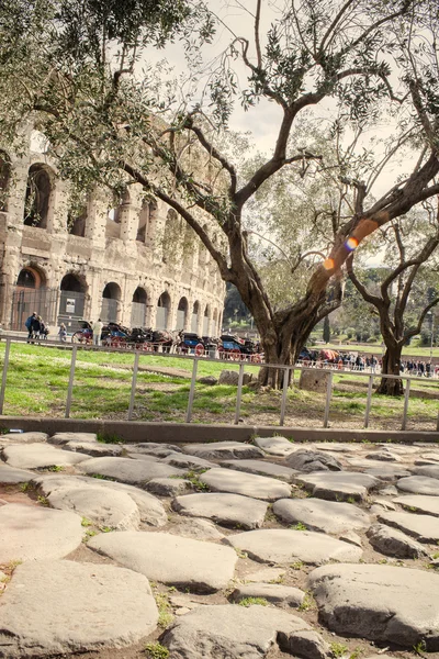 Coliseo calle vieja — Foto de Stock