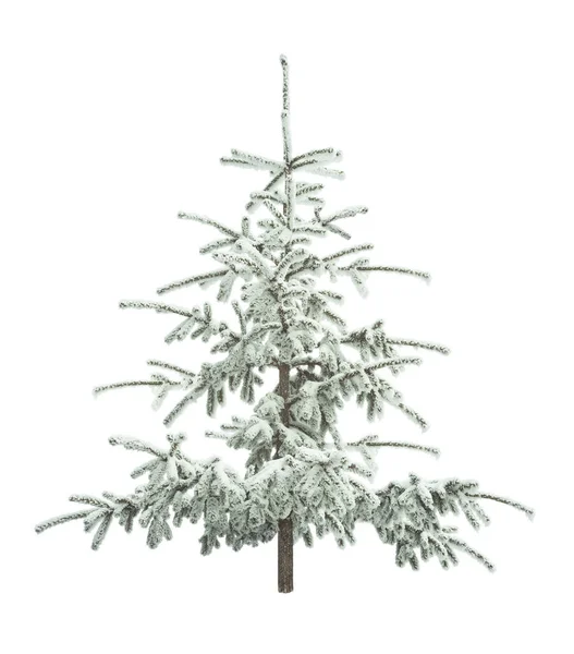 Рождественская елка со снегом — стоковое фото