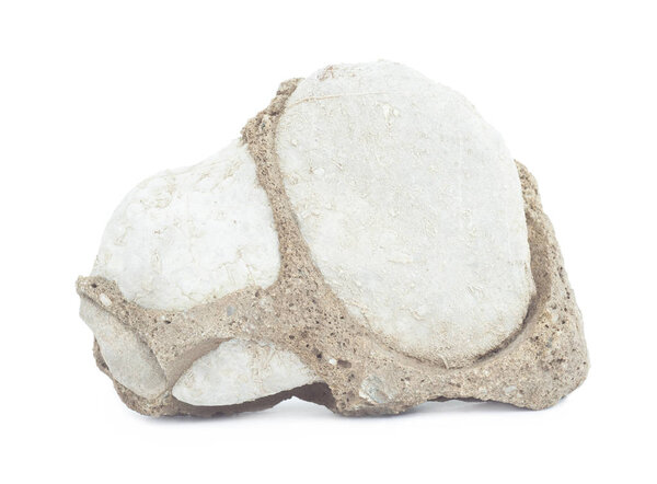 изолированные конгломераты
