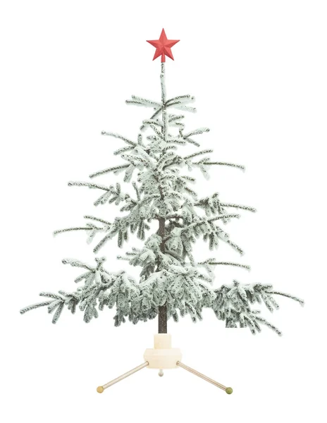 Рождественская елка со снегом — стоковое фото