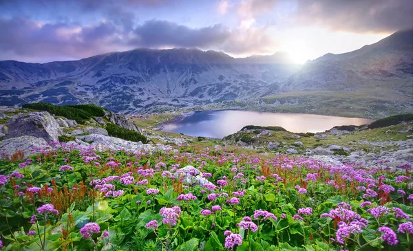 Jezero na horských a květiny — Stock fotografie