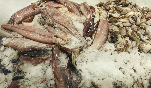 Свежий кальмар и осьминог — стоковое фото