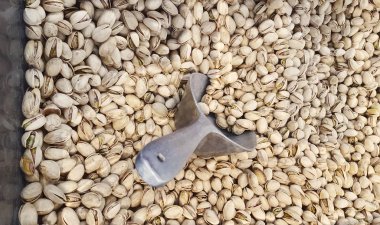 Fıstıklı meyve doku