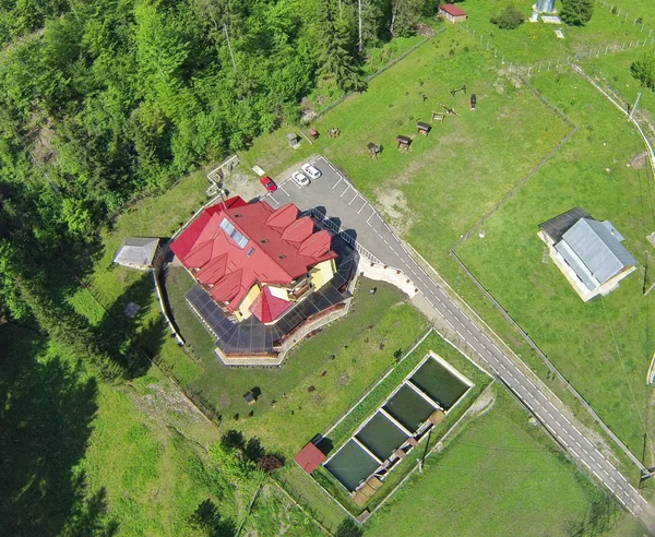 Big house and forest — Stock Photo, Image