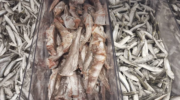 frozen fish for sale