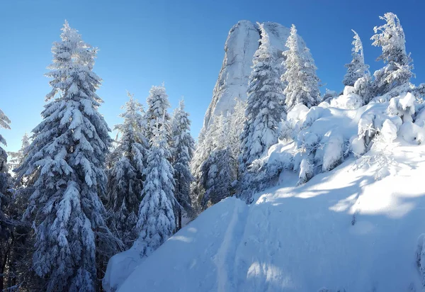 Winer scen i Ceahlau berg — Stockfoto