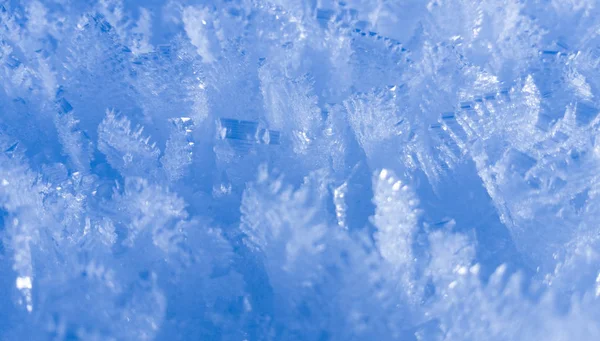 Snow flakes in ice crystals — Stock Photo, Image