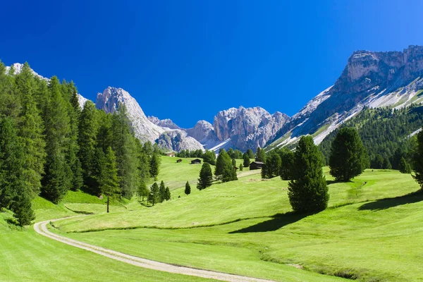 Sommar landskap i Dolomiterna bergen — Stockfoto