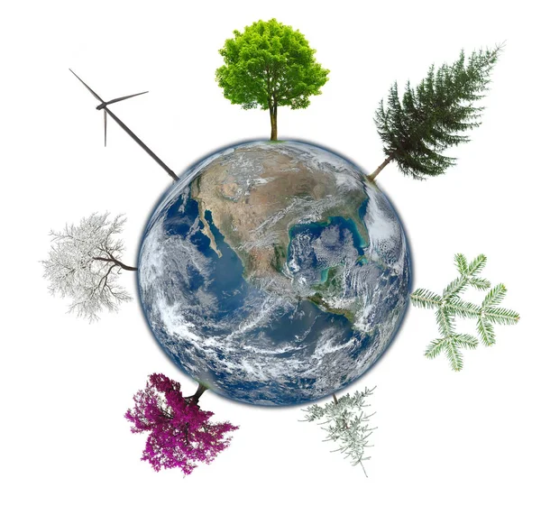 Земной шар с абстрактными деревьями для экологической концепции. Элементы этого изображения предоставлены НАСА — стоковое фото