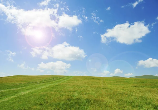 Green field with blue sky and clouds — Stock Photo, Image