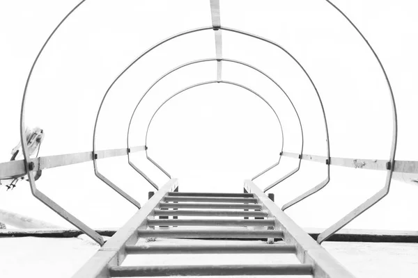 Ladder isolated on white background — Stock Photo, Image
