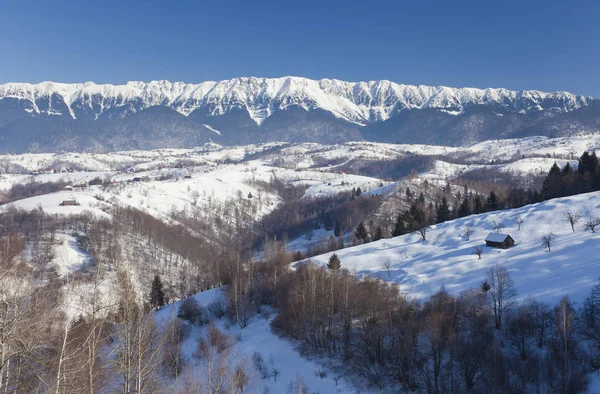 Piatra Craiului Berg Vinter Landskap Rumänien — Stockfoto